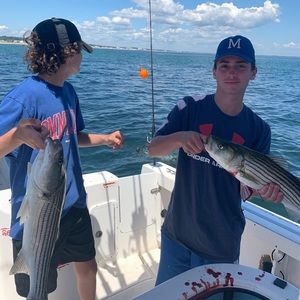 Meet your Posher, David